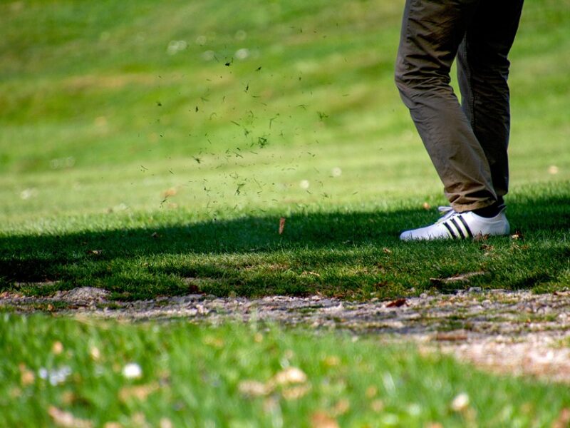 It's Too Good To Be Honest - Family Golf Centers, Inc